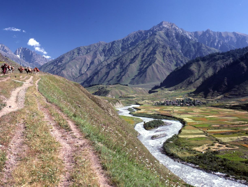 Nomadic shepherds, Warwan Valley, Kashmir, 1988. Mamiya 645 Super